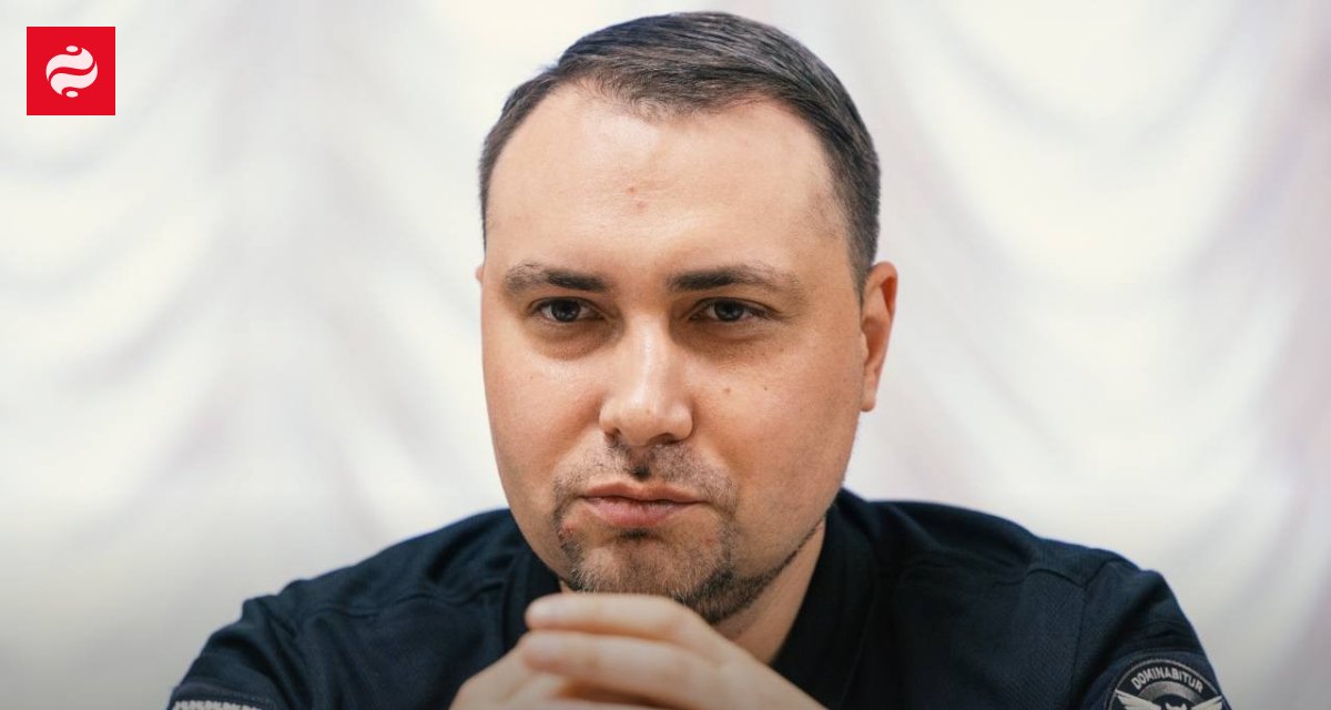 Буданов: Украина уже применяет перехватчики российских реактивных дронов в боевых условиях