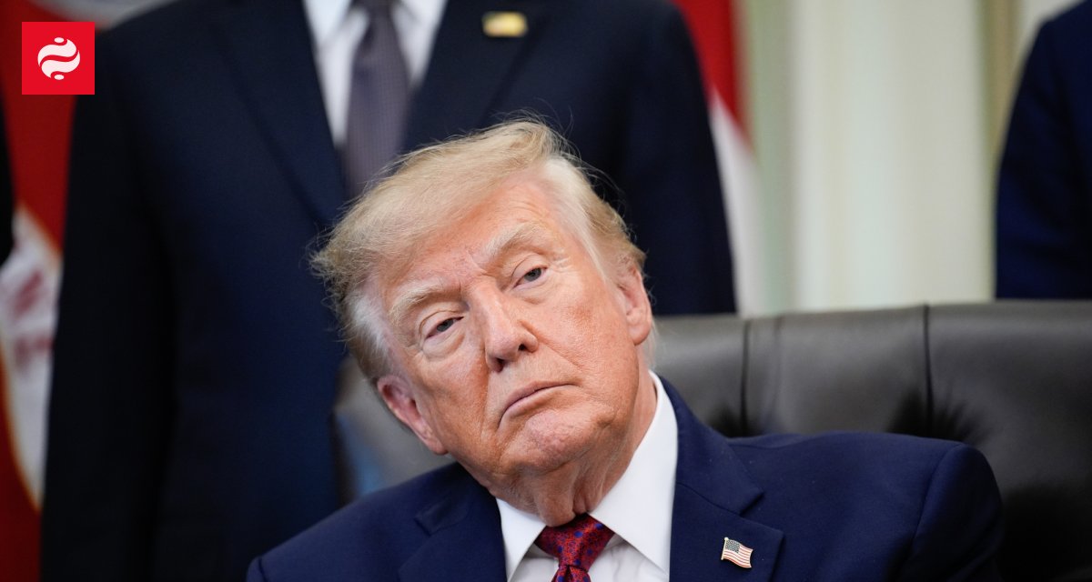 Трамп заявил, что Зеленский якобы отказался от "мощных" снарядов, поскольку не располагал самолетами